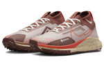Кроссовки Nike Pegasus Trail 4 Gore-Tex (Женская размерная сетка)