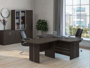 Кабинет руководителя Бонн