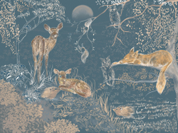 Коллекция FERMA