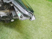 DSCN9251.jpg