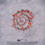 Robert Plant / Band Of Joy (CD)