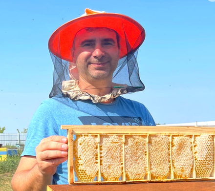 Секционные соты 6шт