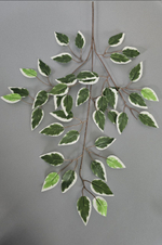 Фикус 12 веток / Арт 1249