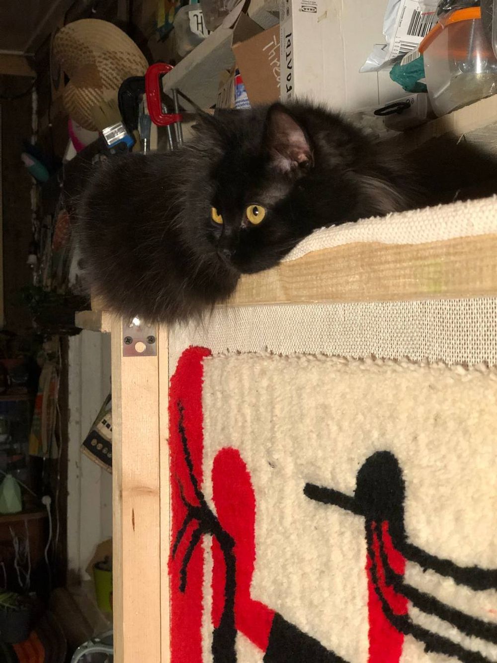 Купить Коврик Plushedelica Голос улиц Коврик Plushedelica Голос улиц