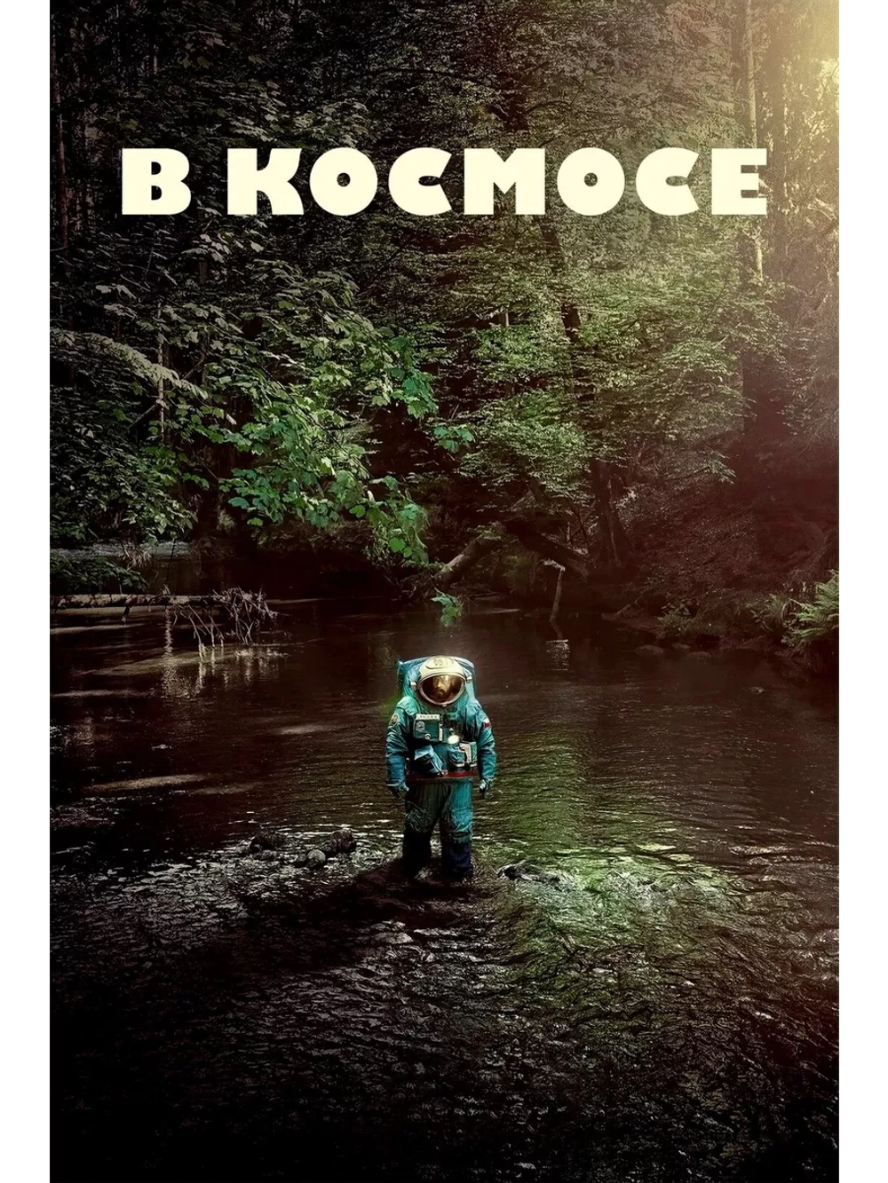 В космосе (2024) (DVD-R)