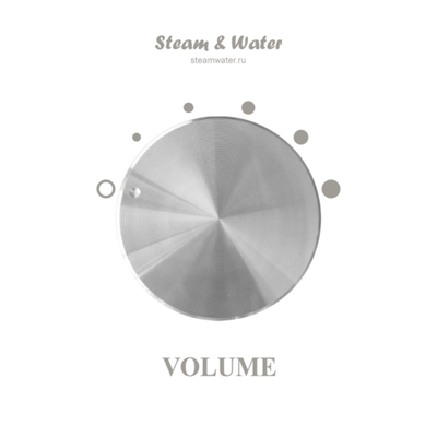 Настенный регулятор громкости звука настенный Steam&water SOUND CONTROL Black 50 (Цвет черный, 5 уровней громкости, 4-8 Ом, 30W)