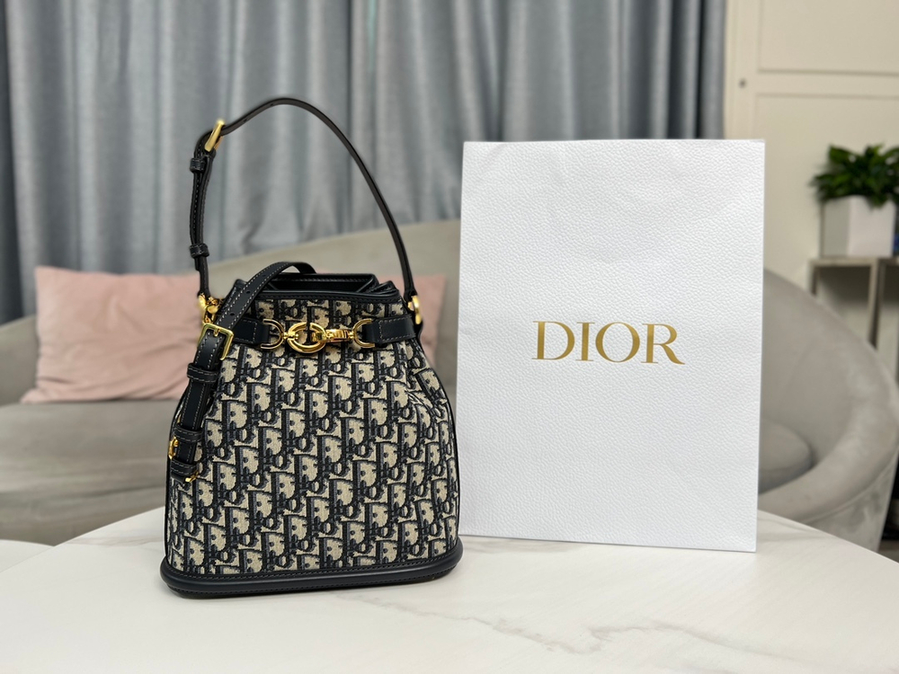 Christian Dior Medium C'est Dior Bag 24 cm