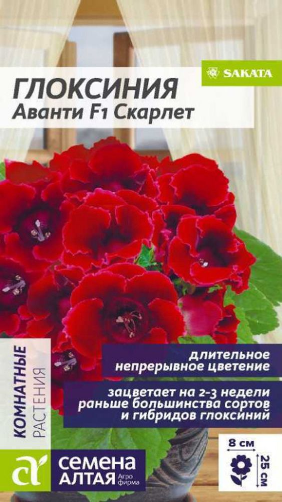 Глоксиния "G. Аванти F1 Скарлет" 8шт., Россия. Глоксиния "G. Аванти F1 Скарлет" 8шт., Россия.