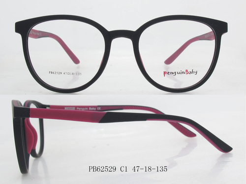 PB62529