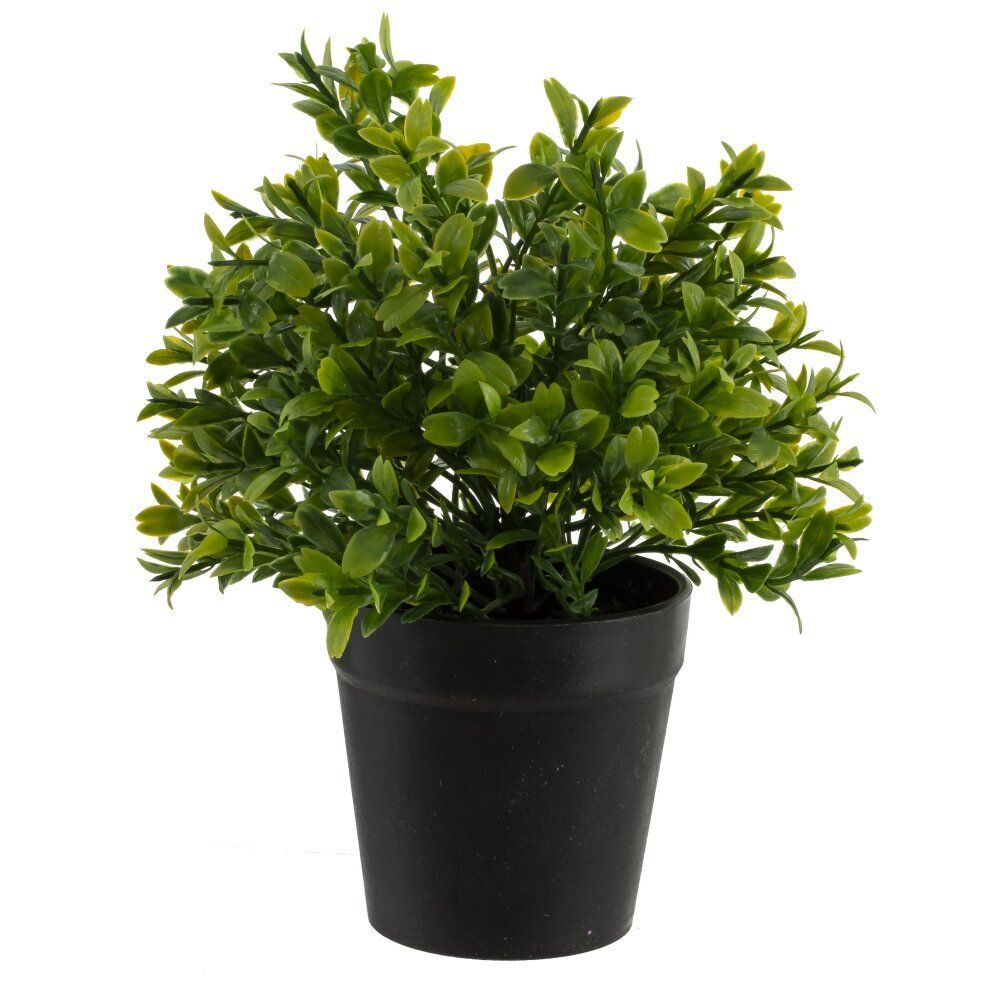 GAEM Цветочная композиция, L9,5 W9,5 H23 см