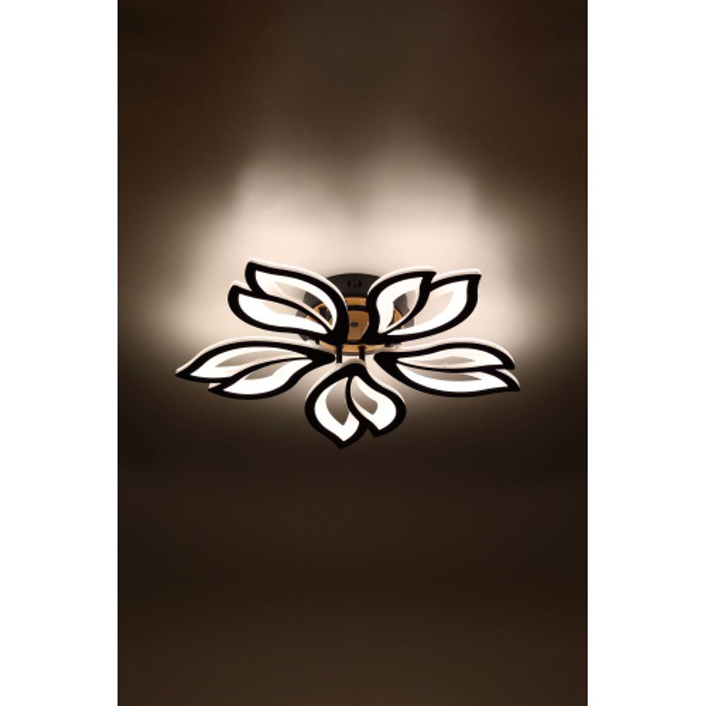 Светильник потолочный светодиодный Rivoli Lana 6195-733 LED 3000-6250К 100 Вт с пультом | Rivoli