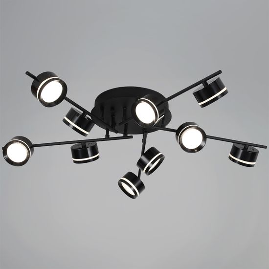 10590-0.3-10 Black светильник потолочный