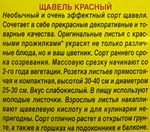 Щавель Красный 0,05 г СМЗ-242