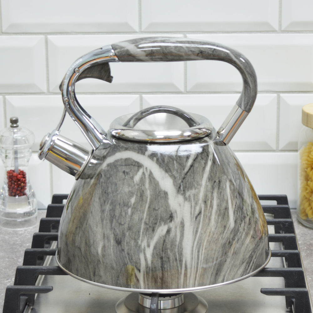 Чайник 3л нерж "Fanhoff" (95803)