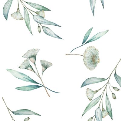 Листья и цветы эвкалипта
