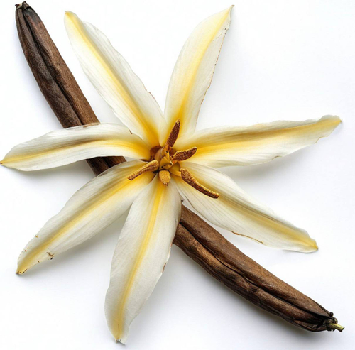 Сироп "Ваниль"