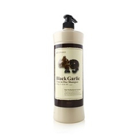 Шампунь для волос 2в1 с черным чесноком Lunaris Black Garlic Two In One Shampoo 1500мл