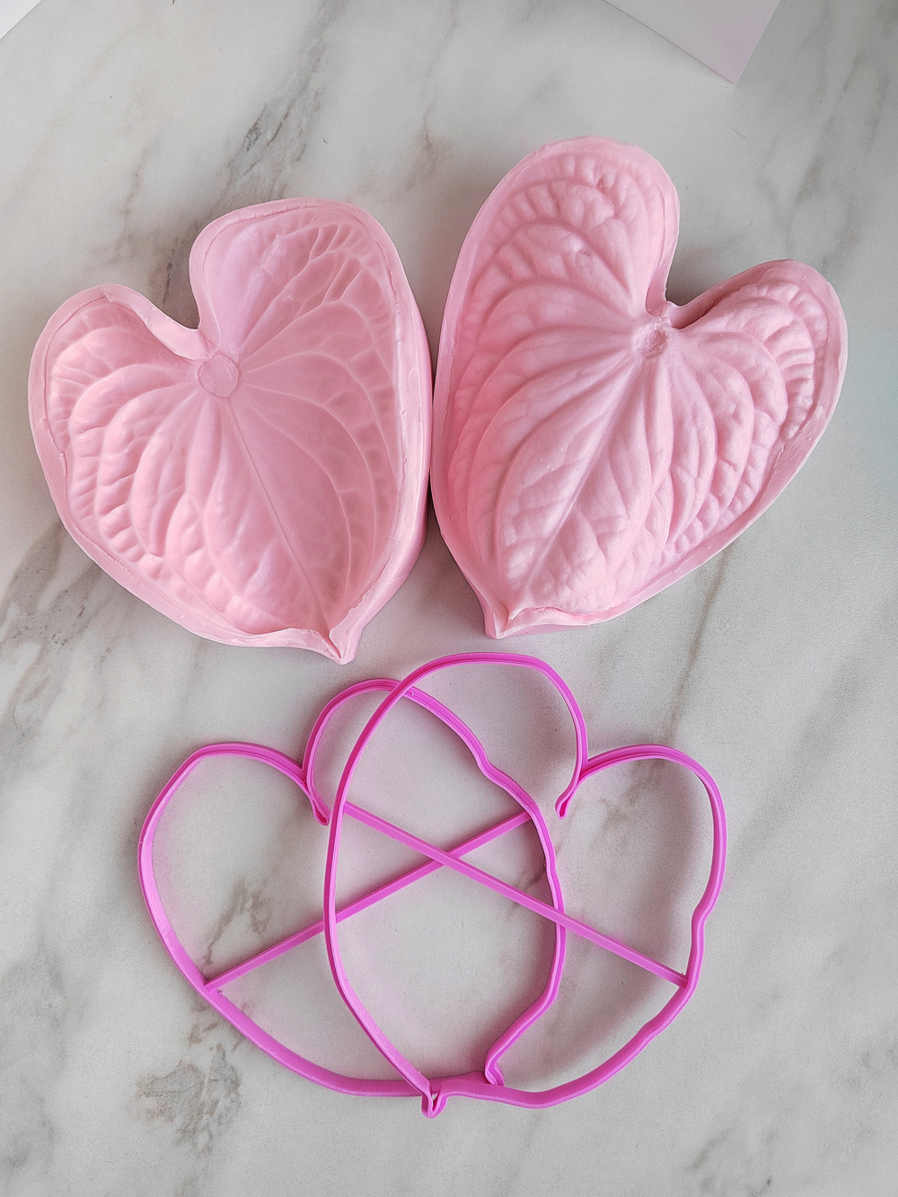 Антуриум XXL