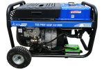 Бензиновый сварочный генератор (3 кВт) TSS PROF GGW 3.0/300E