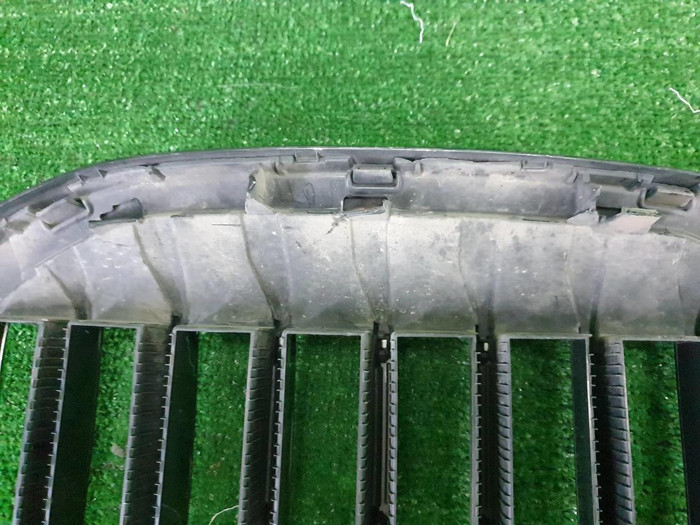 Решетка радиатора BMW X7 G07 (2019-2022)