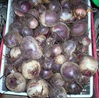 Свёкла - Местная Отборная