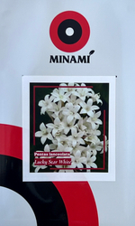 Пентас Лаки Стар Вайт 8шт.