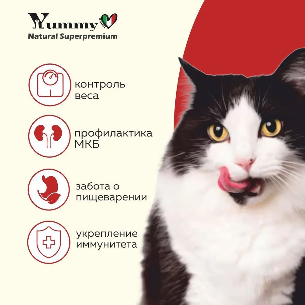 Yummy Linea корм для котят, беременных и кормящих кошек, ягненок, 2 кг