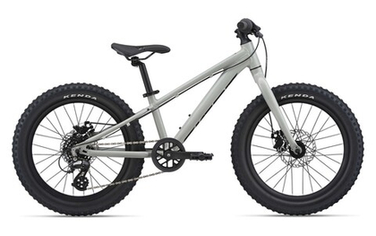 Детский велосипед Giant STP 20 (2022)