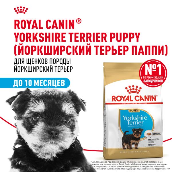 Сухой корм Royal Canin Yorkshire Terrier Puppy для щенков породы Йоркширский Терьер до 10 месяцев