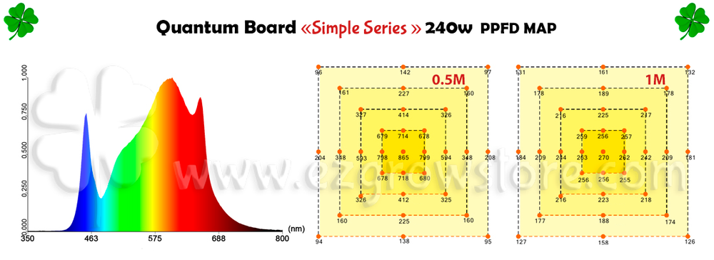 Quantum Board EZG SS-240