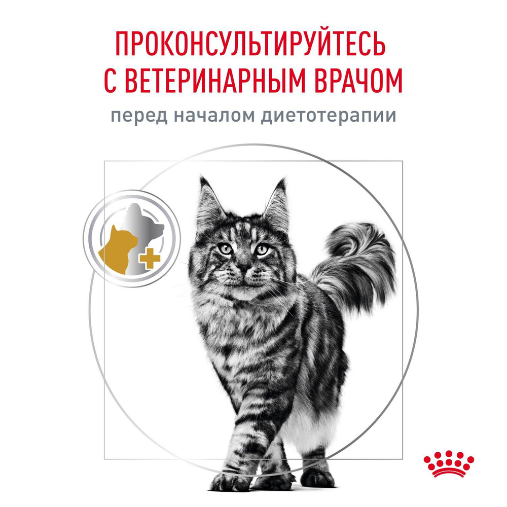 Royal Canin URINARY S/O (УРИНАРИ С/О) Корм влажный для кошек при мочекаменной болезни 85г
