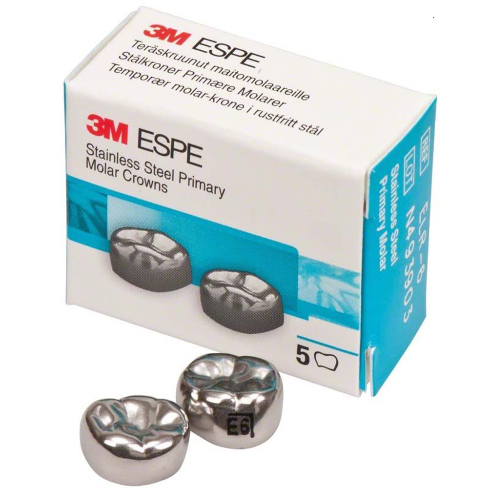 Второй нижний правый моляр, размер 6 (E-LR-6)