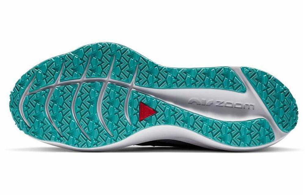 Кроссовки Nike Zoom Winflo 7 Shield (Женская размерная сетка)