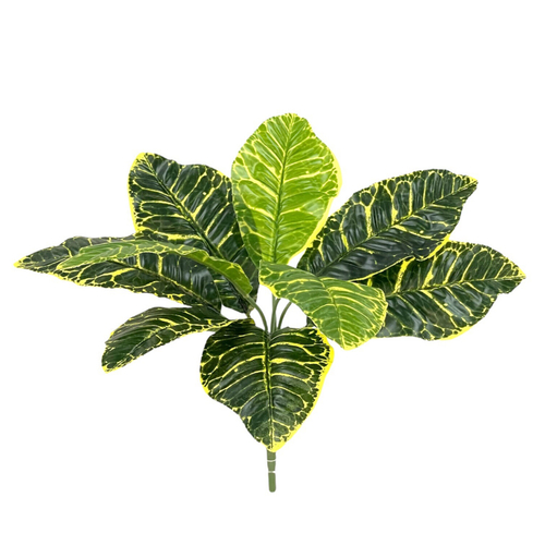 Кодиеум желто-зеленый куст 36 см