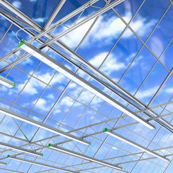 Светильник АгроСвет Сonstant 300вт 664мкмоль (полный спектр) FS-V-AGRO-300-65-XY-306-ZZZ