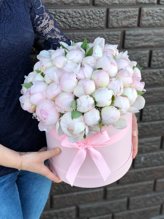 51 светло розовый пион в коробке