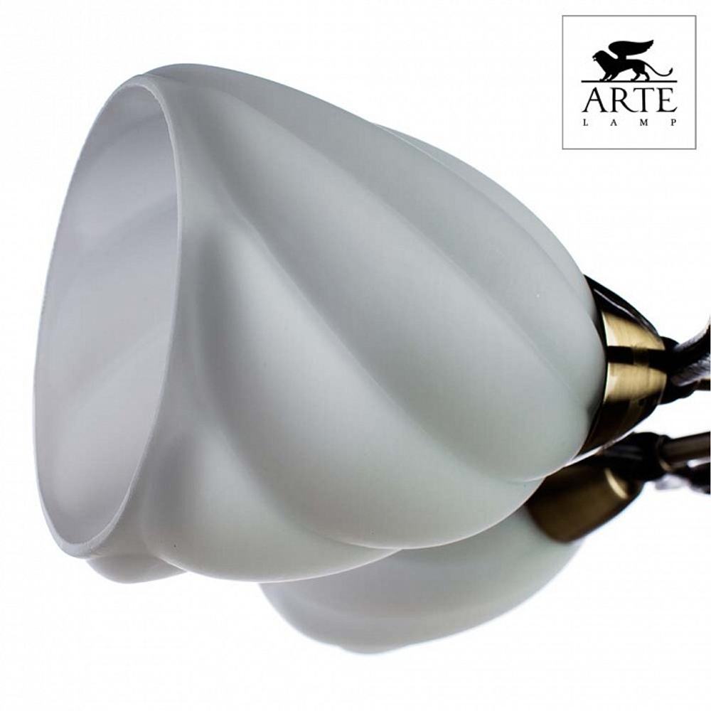 Накладная люстра Arte Lamp A6253PL-5BA
