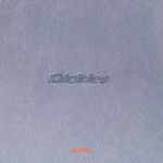  Футболка мужская Dickies Plentywood артикул:DK0A866BG701 - купить в магазине Дайс