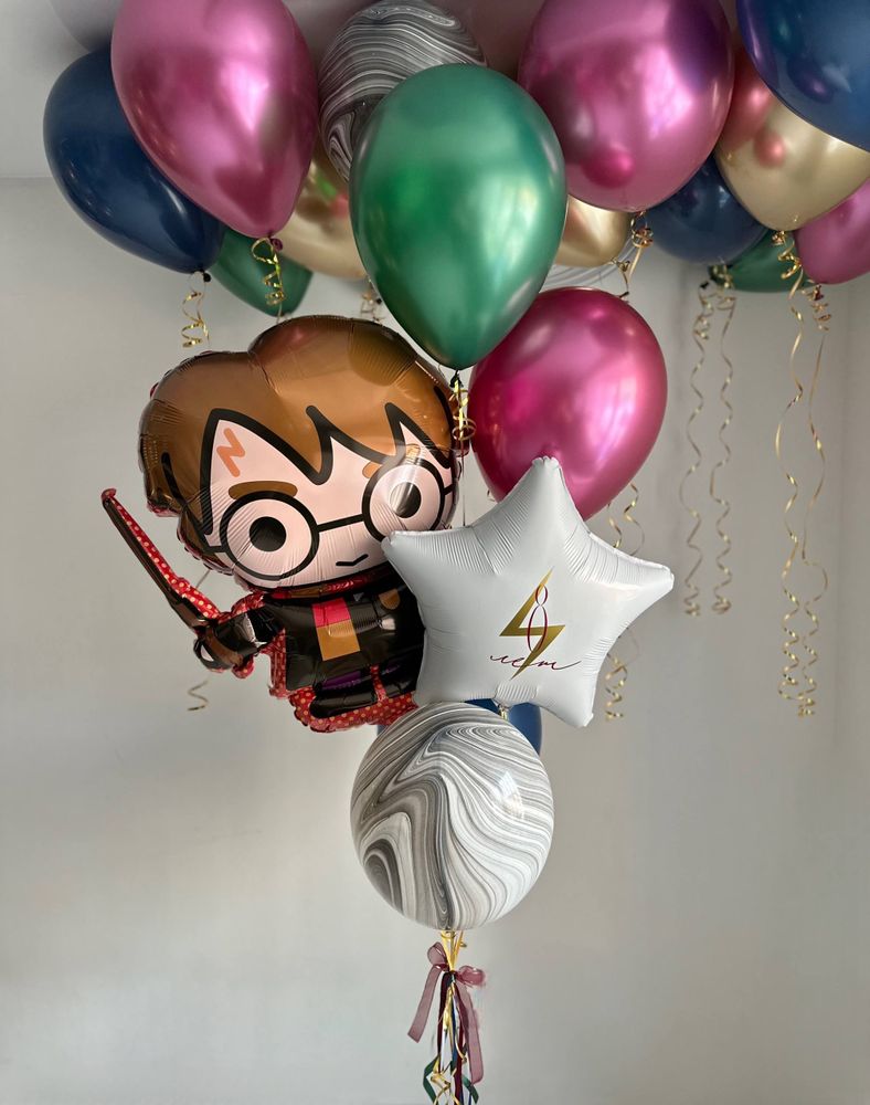 Воздушные гелиевые шарики с доставкой по Хабаровску Гарри Потер №4901