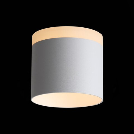 Светильник потолочный ST Luce Panaggio ST102.502.12