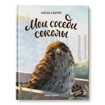 Мои соседи соколы