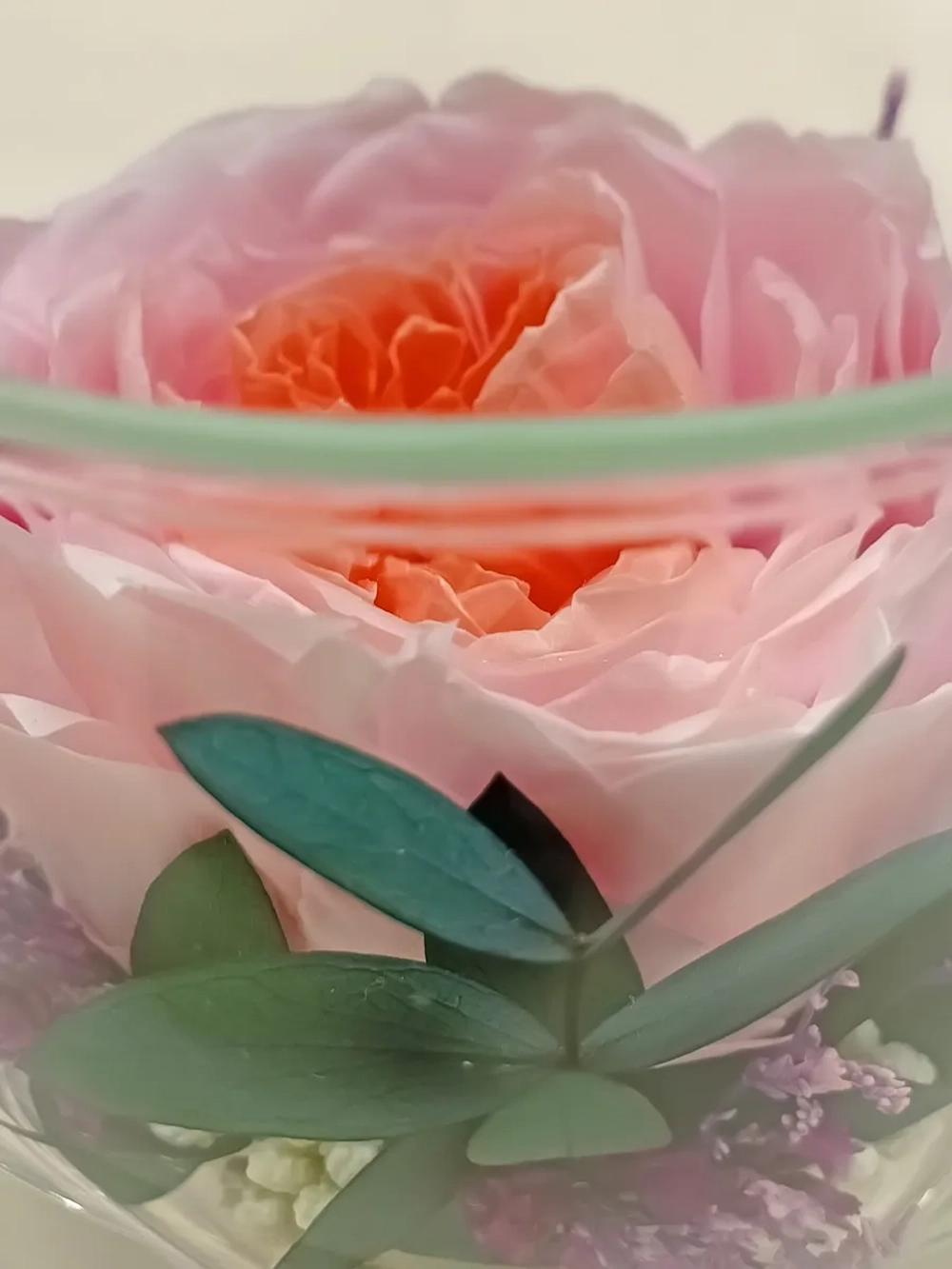 натуральный пион в стекле, вакуум*