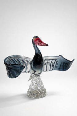 Пеликан с раскрытыми крыльями Нотте-Бореале