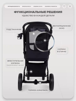 Коляска прогулочная Rant Basic Alpine Black 2026