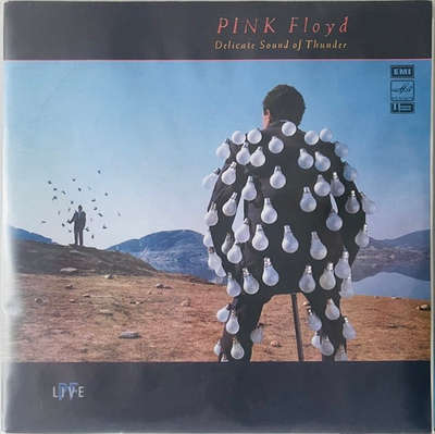 Pink Floyd - Delicate Sound Of Thunder - Live