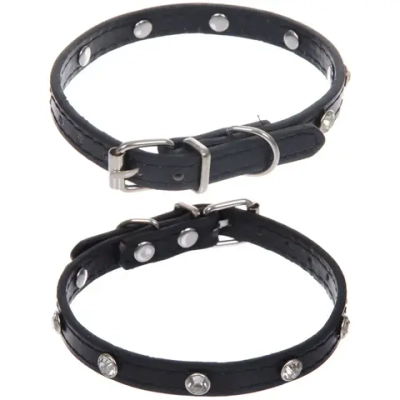Ошейник для собак и кошек со стразами «На стиле», цвет черный, 1см, размер XS, 20*25см (лейбл)