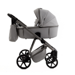 Коляска 2 в 1 Adamex Delta Nature