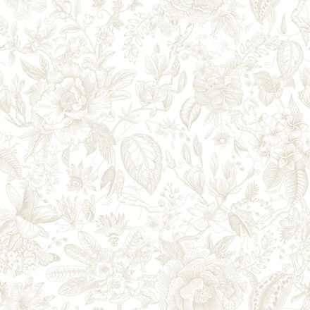 Gloockler Pompoos Provence