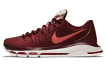 Кроссовки Nike Kd 8 Perserverance 8