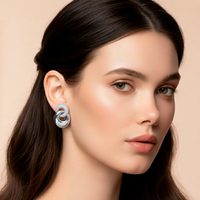 Серьги Fiore Luna AG210015E-002 S